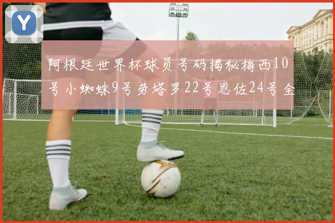 阿根廷世界杯球员号码揭秘梅西10号小蜘蛛9号劳塔罗22号恩佐24号全解析